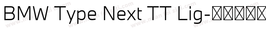 BMW Type Next TT Lig字体转换
